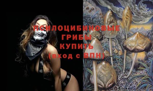 mdma Лагань