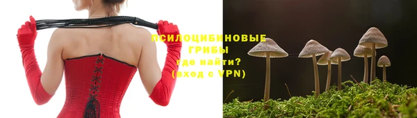 синтетический гашиш Ладушкин