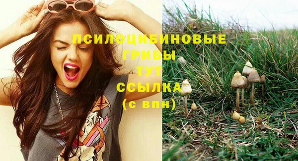 MDMA Premium VHQ Лабытнанги