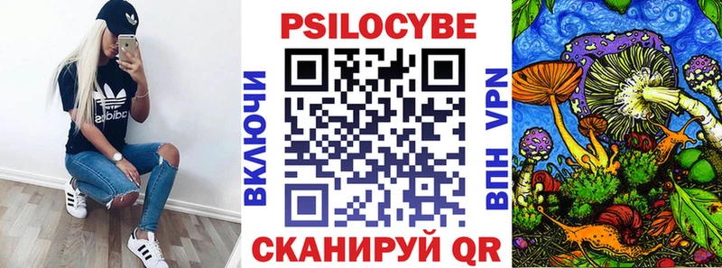 купить   Рыльск  Псилоцибиновые грибы MAGIC MUSHROOMS 